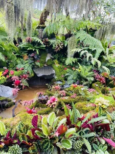 Must-Visit Trendy Cafes in Vietnam’s Top Tourist Destinations for Spring 2024 - image 2