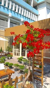 Must-Visit Trendy Cafes in Vietnam’s Top Tourist Destinations for Spring 2024 - image 13