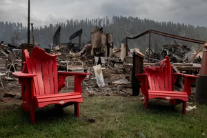 Devastating Wildfires Ravage Famous Tourist Town: A Visual Report on the Environmental Impact - image 6