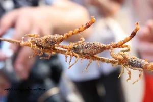 Dare to Taste: Exploring the Intimidating World of Fried Scorpion Delicacies and Exotic Street Food - image 3