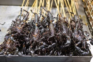 Dare to Taste: Exploring the Intimidating World of Fried Scorpion Delicacies and Exotic Street Food - image 11