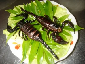 Dare to Taste: Exploring the Intimidating World of Fried Scorpion Delicacies and Exotic Street Food - image 5