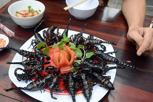 Dare to Taste: Exploring the Intimidating World of Fried Scorpion Delicacies and Exotic Street Food - image 4