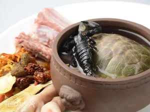 Dare to Taste: Exploring the Intimidating World of Fried Scorpion Delicacies and Exotic Street Food - image 6