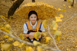 YiTuYu Art Language Vol.8099: The Playful Elegance of Xiao Fan Qie - image 19