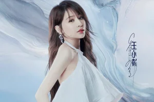 The Cyndi Wang Phenomenon: Why the Mandopop Queen Captivates Elite Fans and CEOs Alike - image 4