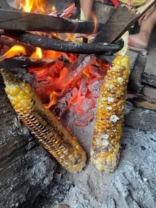 A Taste of Nostalgia: Mouth-Watering Childhood Dishes and Flavors That Bring Back the Sweetest Memories of Growing Up - image 2
