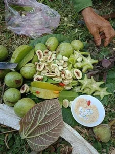 A Taste of Nostalgia: Mouth-Watering Childhood Dishes and Flavors That Bring Back the Sweetest Memories of Growing Up - image 3
