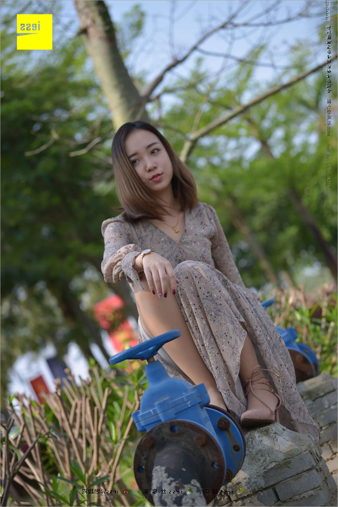 IESS Silk Foot Bento 215 featuring Xin Yue: Exquisite Artistry and Foot Appreciation