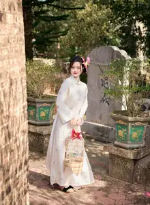 Graceful Vietnamese Ao Dai Beauty in Ancient Architecture - image 0