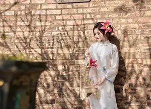 Graceful Vietnamese Ao Dai Beauty in Ancient Architecture - image 10