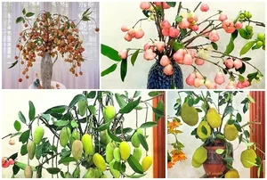 Creative Fruit-Themed Vases: The Latest Trend in Modern Home Interior Design - image 3