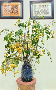 Creative Fruit-Themed Vases: The Latest Trend in Modern Home Interior Design - image 10