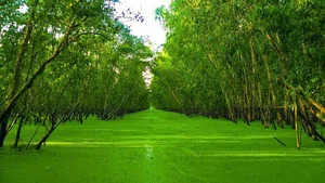 Exploring Vietnam’s Scenic Landscapes: A Travel Guide Inspired by Cong Vinh and Thuy Tien’s Journeys - image 3