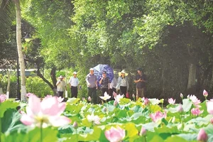 Exploring Vietnam’s Scenic Landscapes: A Travel Guide Inspired by Cong Vinh and Thuy Tien’s Journeys - image 1
