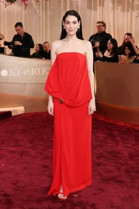 Top 10 Best Dressed Women at the 2026 Golden Globes Awards - image 10