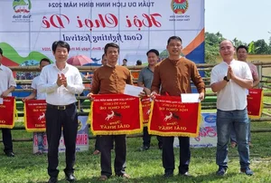 The Traditional Goat Fighting Festival in Ninh Binh: A Unique Cultural Spectacle in Northern Vietnam - image 0