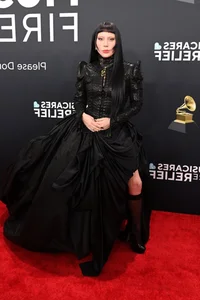 Taylor Swift and Top Female Stars Redefine Red Carpet Glamour at the 2025 Grammy Awards - image 5
