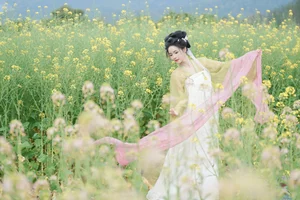 YiTuYu Art Language Vol.10204 Featuring Nan Zhi - Elegant Photography Collection - image 6