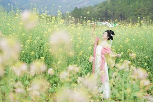 YiTuYu Art Language Vol.10204 Featuring Nan Zhi - Elegant Photography Collection - image 1