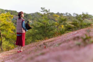 Experience the Magic of Da Lat’s Pink Grass Season: A Dreamy Winter Travel Guide to Vietnam’s Most Picturesque Highland Landscapes - image 7