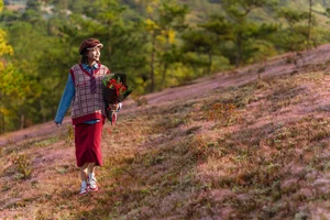 Experience the Magic of Da Lat’s Pink Grass Season: A Dreamy Winter Travel Guide to Vietnam’s Most Picturesque Highland Landscapes - image 0