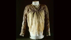 Discovering the World's Oldest Woven Garment: The 5,000-Year-Old Tarkhan Dress and Ancient Style - image 4