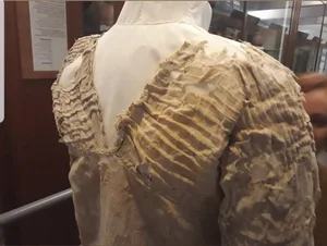 Discovering the World's Oldest Woven Garment: The 5,000-Year-Old Tarkhan Dress and Ancient Style - image 6