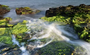 Exploring the Ancient 400-Million-Year-Old Black Rock Cliffs of Ban Than in Quang Nam - image 5