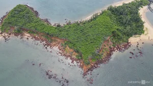 Exploring the Ancient 400-Million-Year-Old Black Rock Cliffs of Ban Than in Quang Nam - image 1