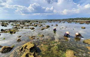 Exploring the Ancient 400-Million-Year-Old Black Rock Cliffs of Ban Than in Quang Nam - image 8
