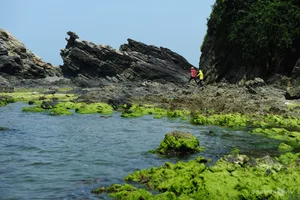 Exploring the Ancient 400-Million-Year-Old Black Rock Cliffs of Ban Than in Quang Nam - image 7