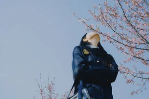 Modern Aesthetics in YiTuYu Art Language Vol.6704 with Yan Shi Yi - image 3