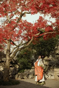 Captivating Aesthetic Photography: Art Language Vol.6416 Featuring Jie Yu - image 2