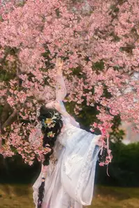 YiTuYu Vol.8666 Xian Lu: Ethereal Hanfu Beauty Amidst Cherry Blossoms - image 1
