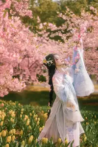 YiTuYu Vol.8666 Xian Lu: Ethereal Hanfu Beauty Amidst Cherry Blossoms - image 8