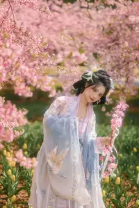 YiTuYu Vol.8666 Xian Lu: Ethereal Hanfu Beauty Amidst Cherry Blossoms - image 0
