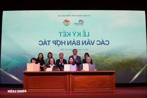 National Tourism Year 2026: Gia Lai's Strategic Leap into the Global Spotlight - image 5