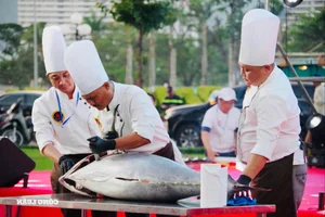 National Tourism Year 2026: Gia Lai's Strategic Leap into the Global Spotlight - image 3