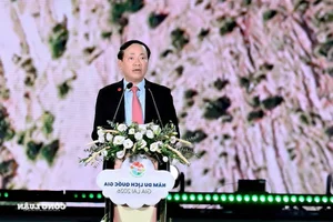 National Tourism Year 2026: Gia Lai's Strategic Leap into the Global Spotlight - image 6