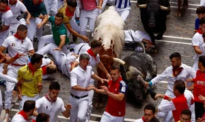 The Thrill of the 'Running of the Bulls': A Cultural Phenomenon in Spain - image 6