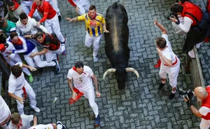The Thrill of the 'Running of the Bulls': A Cultural Phenomenon in Spain - image 9