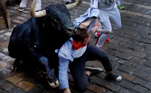 The Thrill of the 'Running of the Bulls': A Cultural Phenomenon in Spain - image 5
