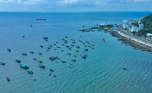 Vung Tau Travel Handbook 2024: A Complete Guide to Beaches, Food, and Sightseeing - image 8
