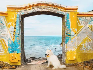 Vung Tau Travel Handbook 2024: A Complete Guide to Beaches, Food, and Sightseeing - image 6
