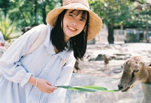 Creative Visual Expressions: YiTuYu Art Language Vol.10368 Cui Cui Sha Tian Diao Ya - image 0