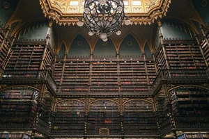 A Visual Journey Through the World’s Most Architecturally Stunning Libraries and Bookstores - image 3