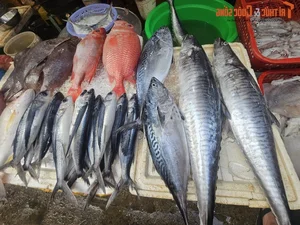 Exploring the Unique Afternoon Seafood Market: A Culinary Journey Through Freshness and Local Tradition - image 14