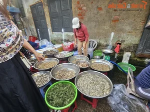 Exploring the Unique Afternoon Seafood Market: A Culinary Journey Through Freshness and Local Tradition - image 13