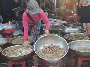Exploring the Unique Afternoon Seafood Market: A Culinary Journey Through Freshness and Local Tradition - image 9